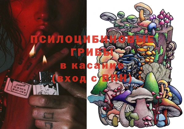 прущая мука Аркадак